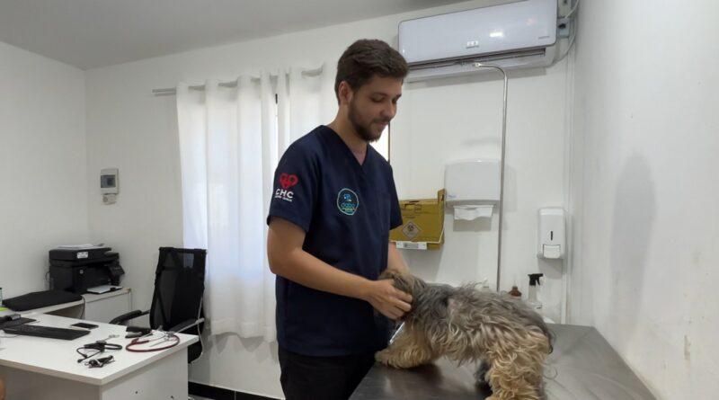 Castração gratuita em Navegantes terá mutirão com 500 vagas em cinco bairros