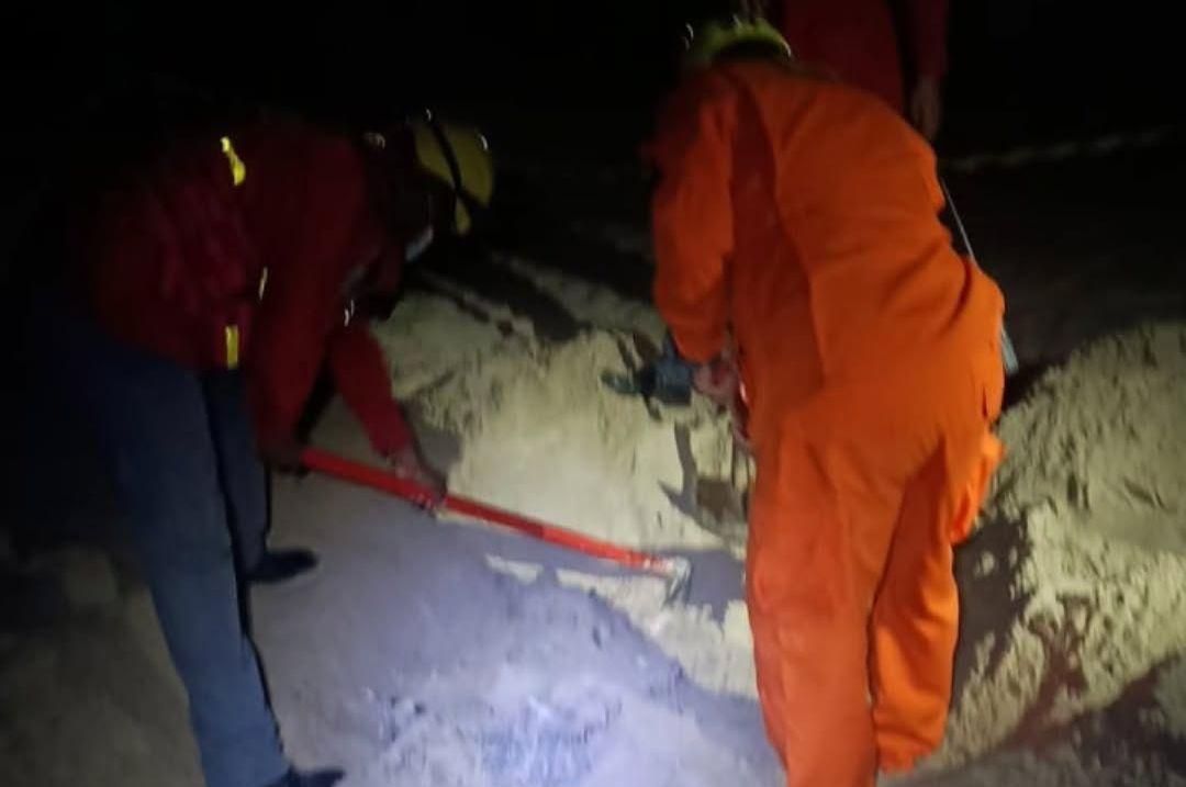 Corpo de cão é encontrado enterrado na praia em Navegantes e levanta alerta sobre abandono de animais