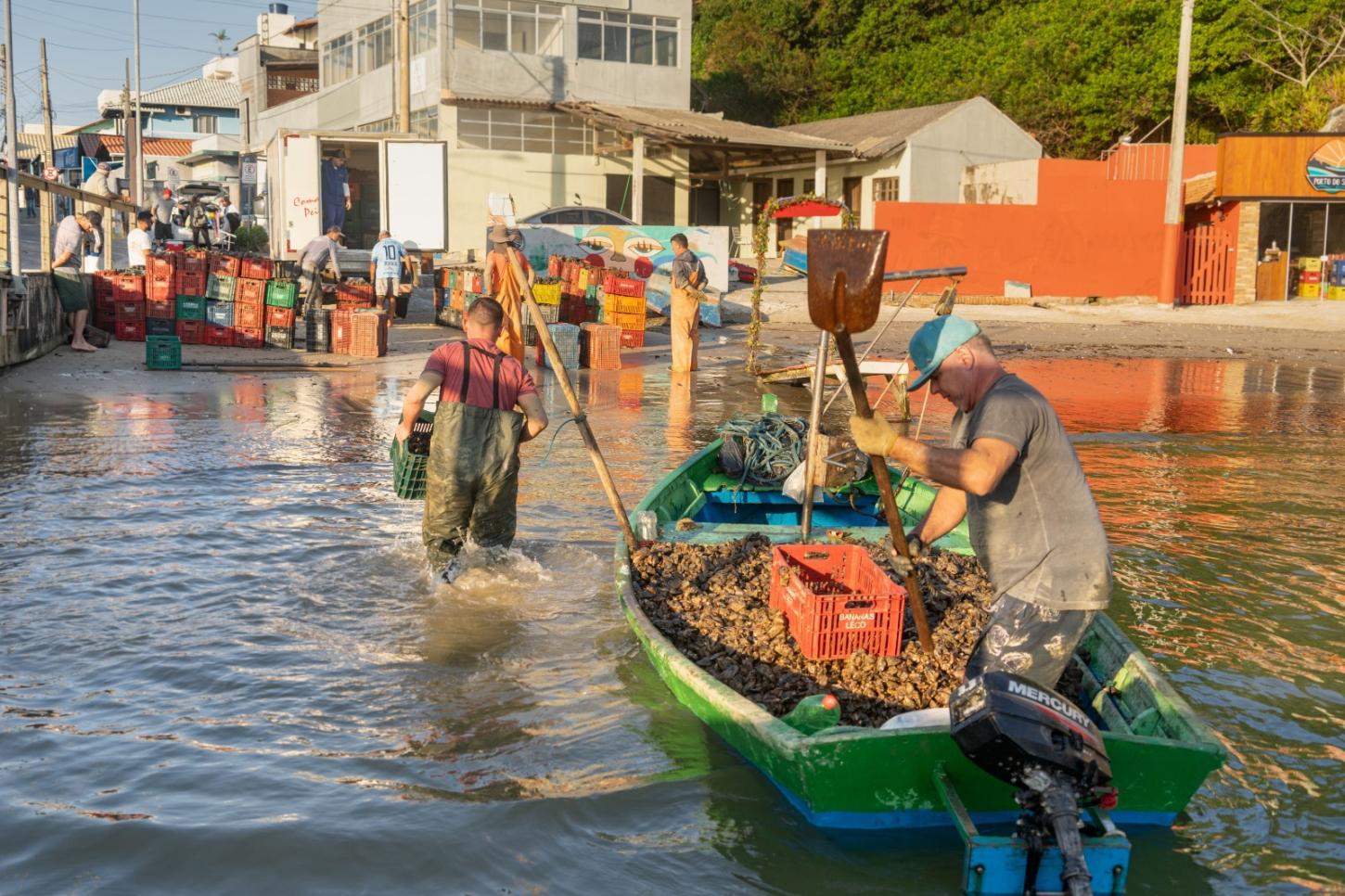 Exposição fotográfica no Festival do Mar valoriza a maricultura de Bombinhas
