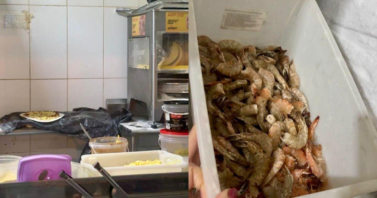 Restaurante é interditado em Itajaí após flagrante de camarão podre e comida vencida
