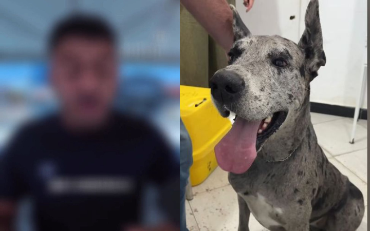 Zoofilia: administrador de um perfil da cidade faz grave acusação: 