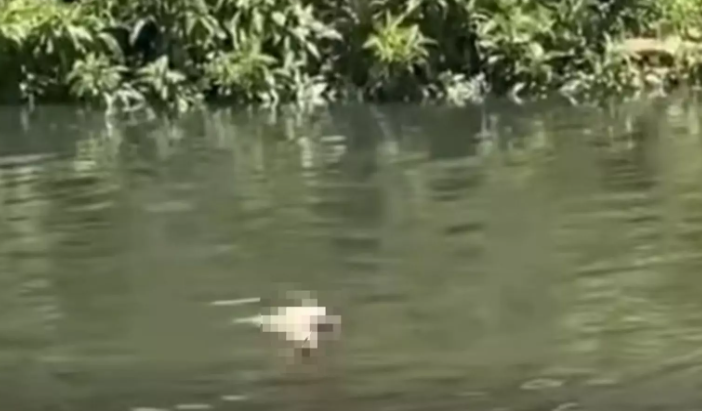 Corpo é encontrado boiando no canal do Rio Itajaí-Mirim, entre os bairros Cordeiros e São Vicente, em Itajaí