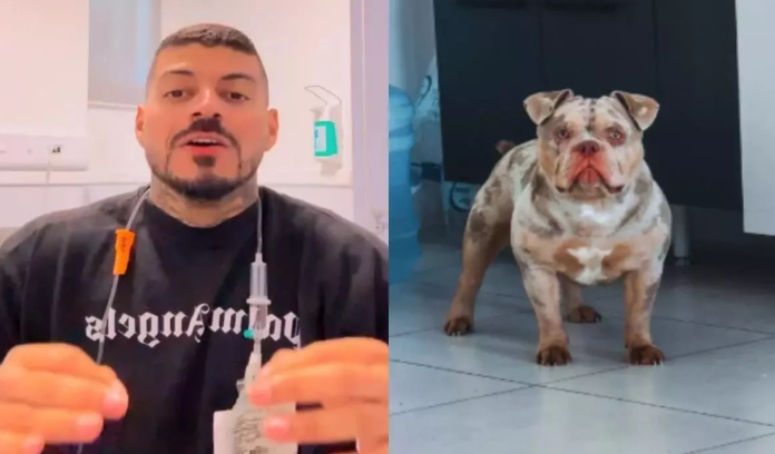 Influenciador catarinense relata perda de dedo do pé após ataque do próprio cachorro durante a noite